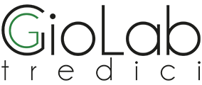 Giolab13 Logo